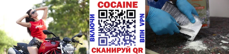 COCAIN Эквадор Венёв