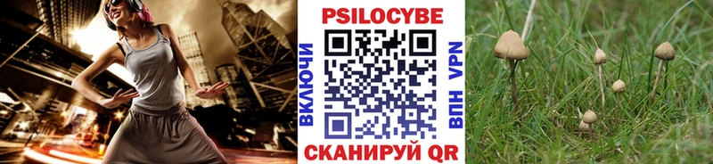 Псилоцибиновые грибы мицелий  Купить закладки  Венёв 
