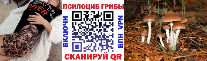 Галлюциногенные грибы мицелий Венёв