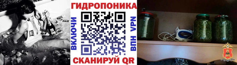 Купить закладки  Венёв  Бошки Шишки White Widow 